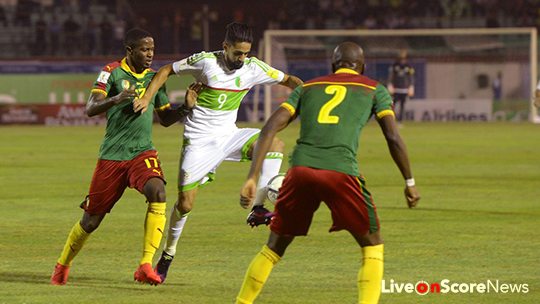 Cameroon vs Algeria Preview and Prediction Live Stream World Cup