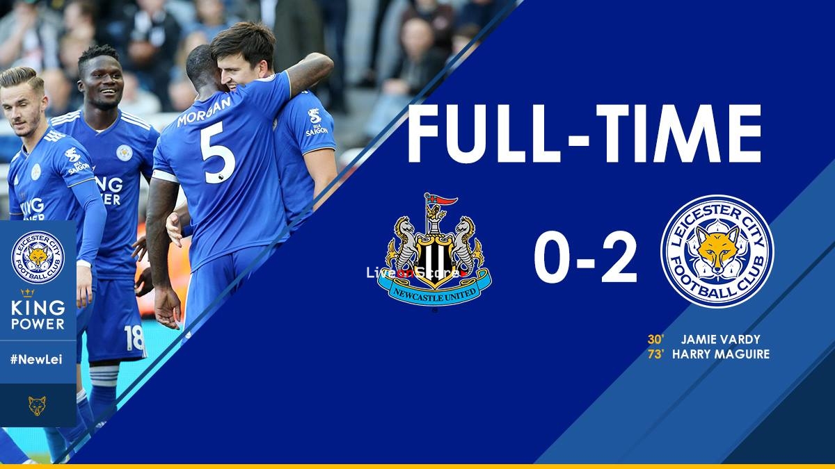 Newcastle United 0 2 Leicester City Full Highlight Video Premier League 2018 2019