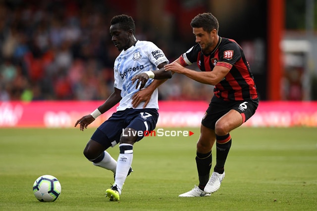 Bournemouth vs Everton Preview and Prediction Live stream Premier
