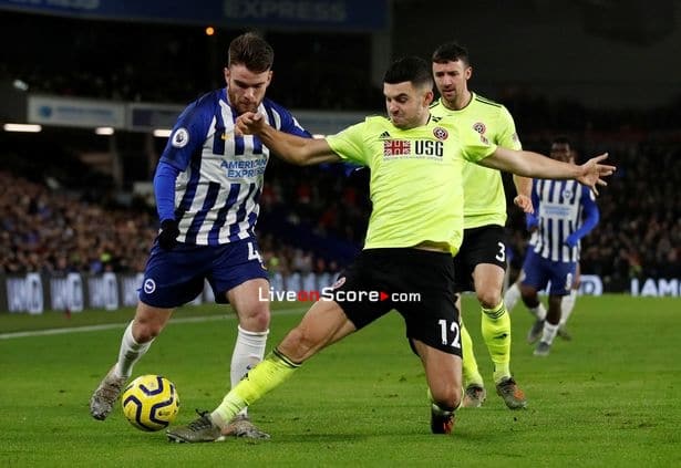 Sheffield Utd vs Brighton Preview and Prediction Live stream Premier