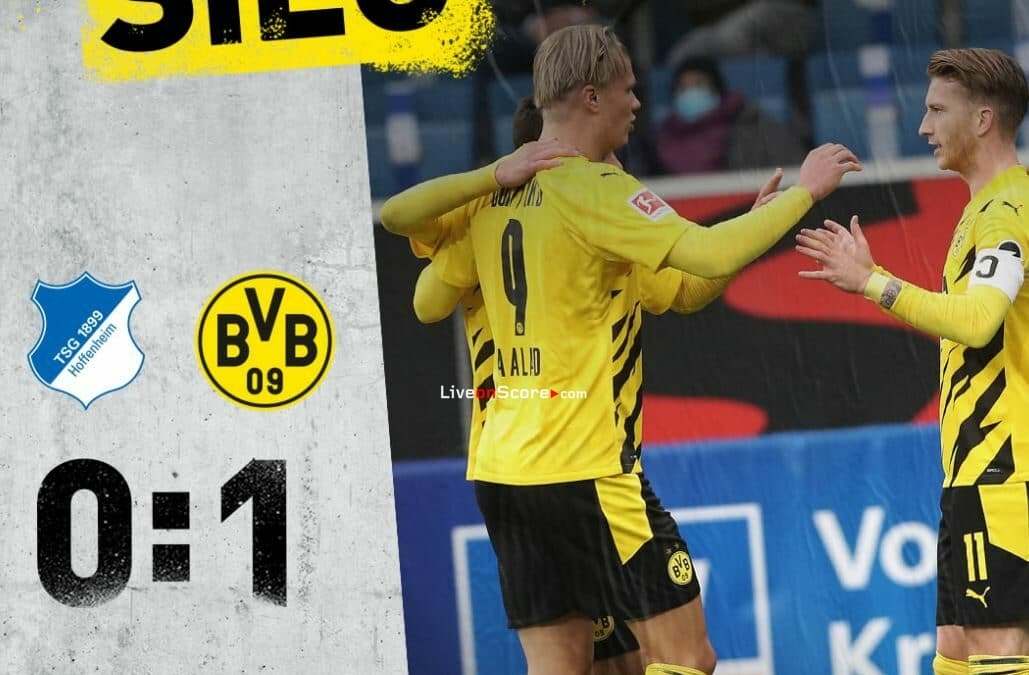 Hoffenheim 0-1 Dortmund Full Highlight Video – Bundesliga