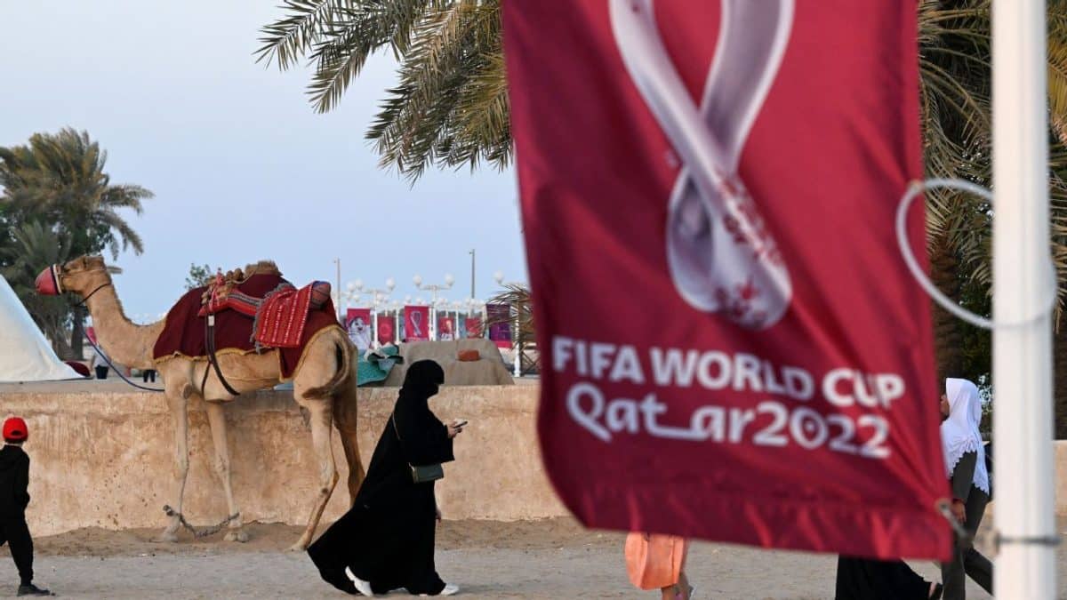 FIFA World Cup Qatar 2022: Schedule reaction and how to watch