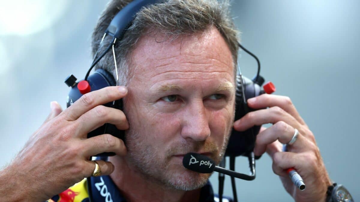 Horner says Hamiltons father approached him
